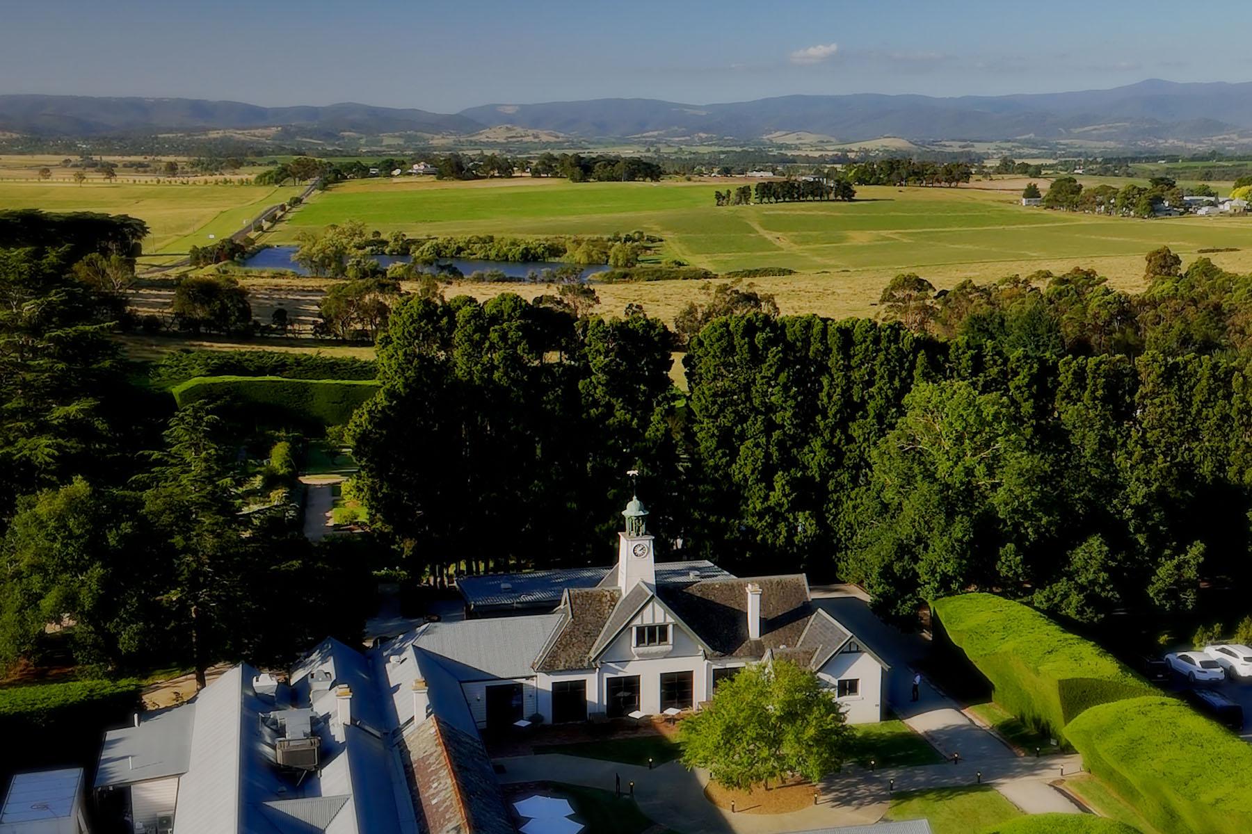 Wedding film still from the Yarra Valley, Victoria