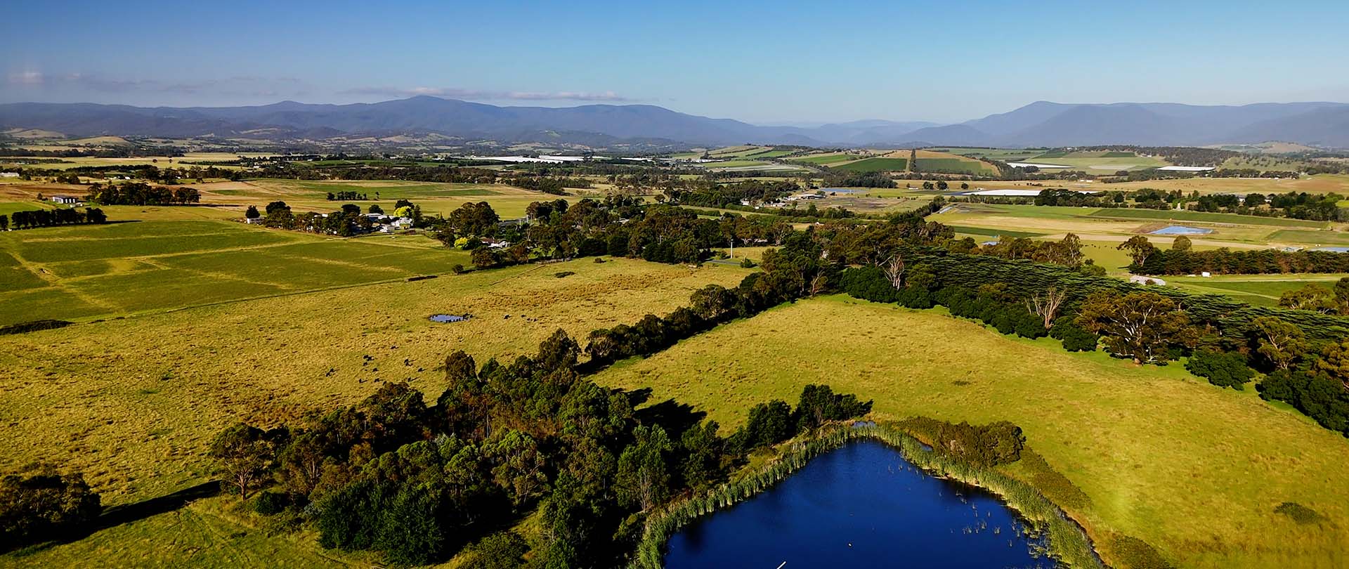 Coombe Yarra Valley drone shot