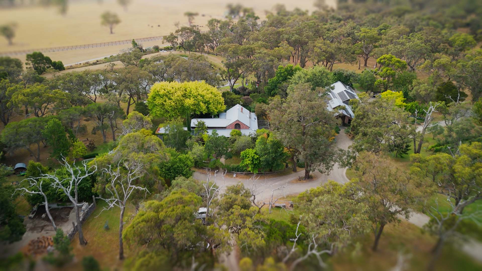 Tanglewood Estate Weddings: A Mornington Peninsula Venue That Feels Like a Film